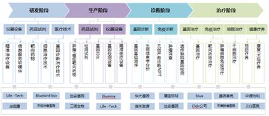 精準(zhǔn)醫(yī)療產(chǎn)業(yè)的發(fā)展邏輯 細(xì)胞技術(shù)研發(fā)與應(yīng)用的核心驅(qū)動力
