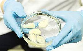 清華孫偉團隊 3D生物打印技術如何讓“打印”人體器官成為可能？