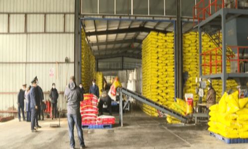 市場(chǎng)監(jiān)管部門抽檢化肥保春耕，筑牢肥料生產(chǎn)質(zhì)量防線