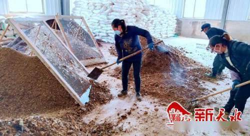 沃土富民路，生態(tài)高橋村 發(fā)展有機(jī)肥料產(chǎn)業(yè)，書寫鄉(xiāng)村振興新篇章